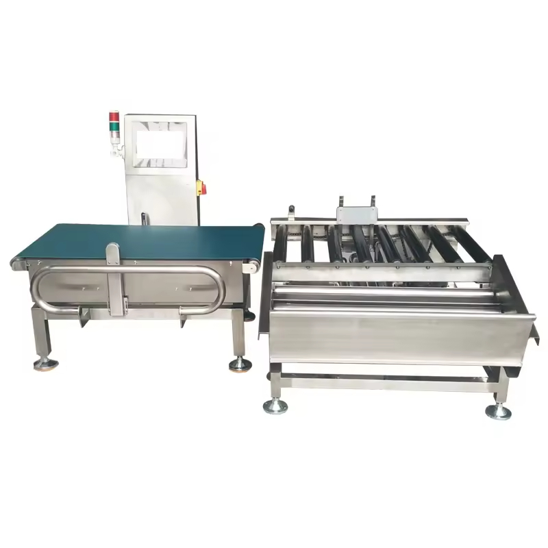 Heavy Duty Online Check Weigher